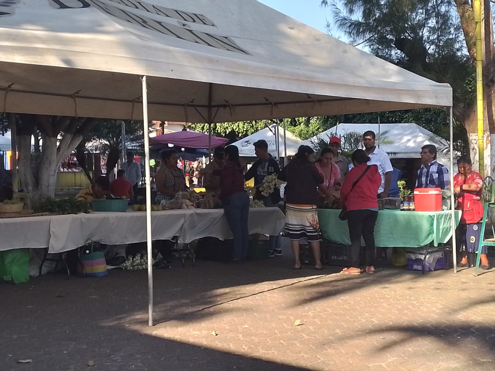 Mercadito Solidario Agroecológico 